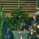 미노스프라자 이미지