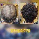 터미널가발 | 경기 광주 여자전체 통가발리얼후기~