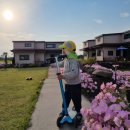 해나루민박 | 제주도 동쪽 한달살기 숙소 :: 월정리 제주 코아흐 후기 + 장단점 정리