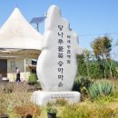당나루물꽃마을 이미지