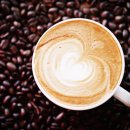 바리스타(2급) 이미지