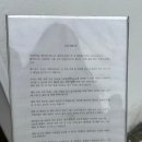 배령연대 | 제주도 소품샵 추천 감각적이고 다양한 인테리어 소품이 있는 베이컨시(Vacancy)
