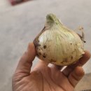 광평농장 이미지