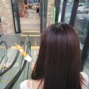 달구나탕후루 이미지