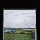 스테이느으린 이미지