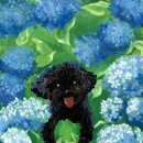 오일파스텔 일상 드로잉 이미지