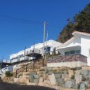 스테이 다옴 이미지