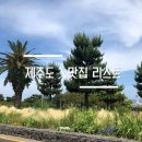 팔팔돼지(88돼지) 이미지