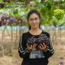 회성농장 이미지