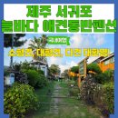 대평농장 | 제주도 독채 펜션 다견, 중소, 대형견 숙박 서귀포 늘바다 애견동반펜션