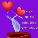 엔돌핀 Daum카페
