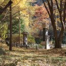 사나사(사찰 앞) 네이버블로그
