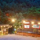 힐링 포레스트 이미지