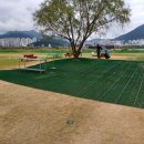 파크골프공원 파크골프장 이미지