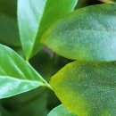 남원내과의원 이미지