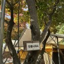 매봉힐링캠프 이미지