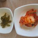 한일맛집 | 한일맛집 단양군 매포읍 마늘 닭갈비 이용 후기