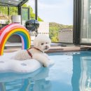 펜션 하랑 이미지