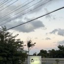 오챠드삼달 | 제주 서귀포 감성 숙소 '오챠드삼달' 내돈내산 후기