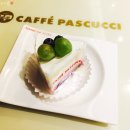 파스쿠찌울산성남점 이미지