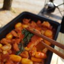 대관령 솔내음 오토 캠핑장 이미지