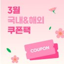 동네커피 앞 횡단보도 | 포르투갈 리스본 여행 1일차 공항 근처 호텔 추천 이비스 스타일스 후기 셔틀 조식