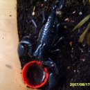 수원-0618 이미지