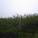 평팔농장 이미지