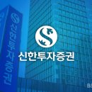 신한항공(국내) 이미지