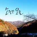 소중한오늘 이미지