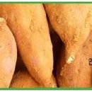 해송농산 이미지