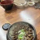 도도한전집