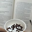 컴포즈커피행신햇빛