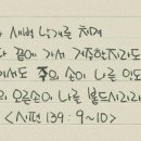 바다날개