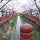 여좌천로 이미지