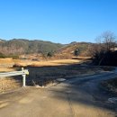 도리1길 이미지