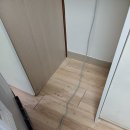 금빛크린 이미지