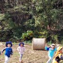 푸른별어린이집 이미지