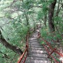 구룡계곡 순환코스 이미지