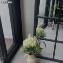 서강로 127-1 버스정류장(14-204) | 대구 수성구 지산동 맛집 포멘트커피 메뉴가격운영시간리뷰주차