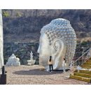 의령-의령-의령-D-7 이미지