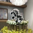 루이하우스 | 에버랜드 바오하우스 / 판다월드 주말 대기 루이후이 아이바오 후기