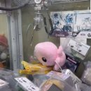 우와 뽑기방 이미지