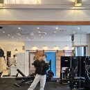 로그짐 송파역점 이미지