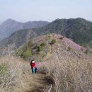 근교산 산행 (6월 29일-일요일) 이미지