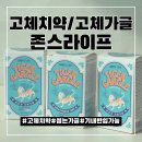 기내반입 가능한 고체치약 타이거 고체가글 구강 청결제 사용후기