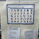 3156 | 대구어린이서점 3개월 아기 책 고르기 상담 솔직 후기