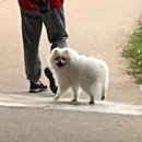 어텀이즈커밍 이미지