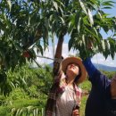 장기농장 이미지