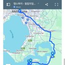 [멜번투어] 퍼핑증기기관차 + 필립아일랜드 패키지 후기